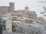 neve (39)